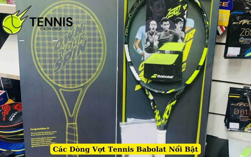 Các Dòng Vợt Tennis Babolat Nổi Bật