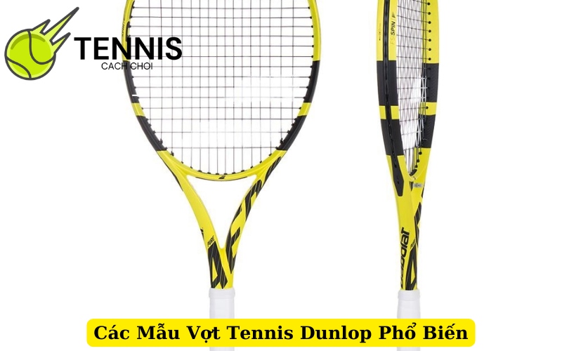 Các Mẫu Vợt Tennis Dunlop Phổ Biến