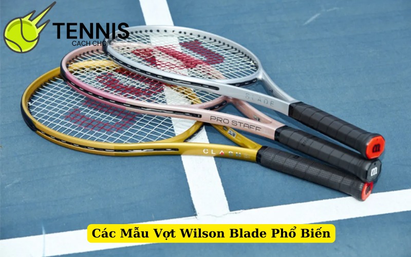 Các Mẫu Vợt Wilson Blade Phổ Biến