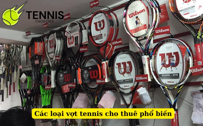 Các loại vợt tennis cho thuê phổ biến