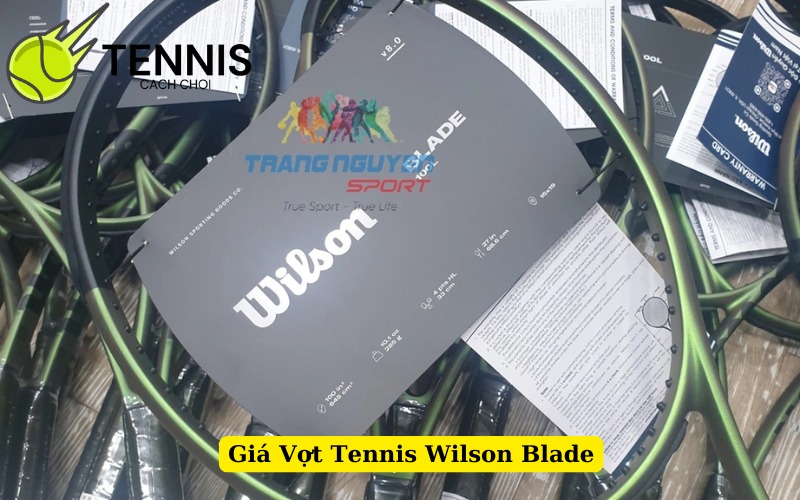 Giá Vợt Tennis Wilson Blade