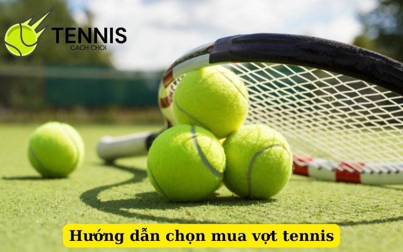 Hướng dẫn chọn mua vợt tennis