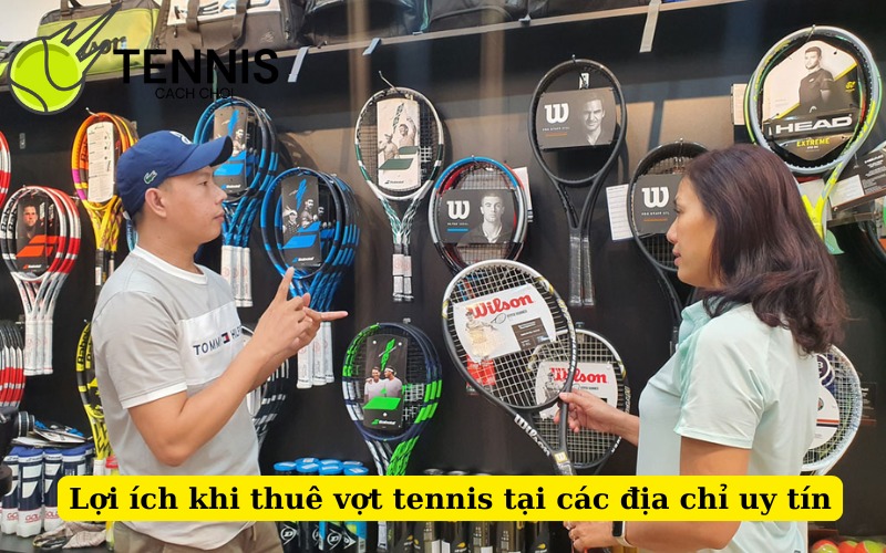 Lợi ích khi thuê vợt tennis tại các địa chỉ uy tín