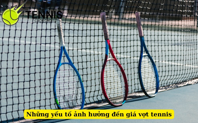 Những yếu tố ảnh hưởng đến giá vợt tennis