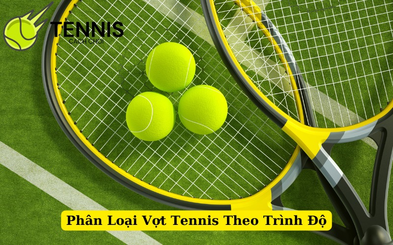 Phân Loại Vợt Tennis Theo Trình Độ