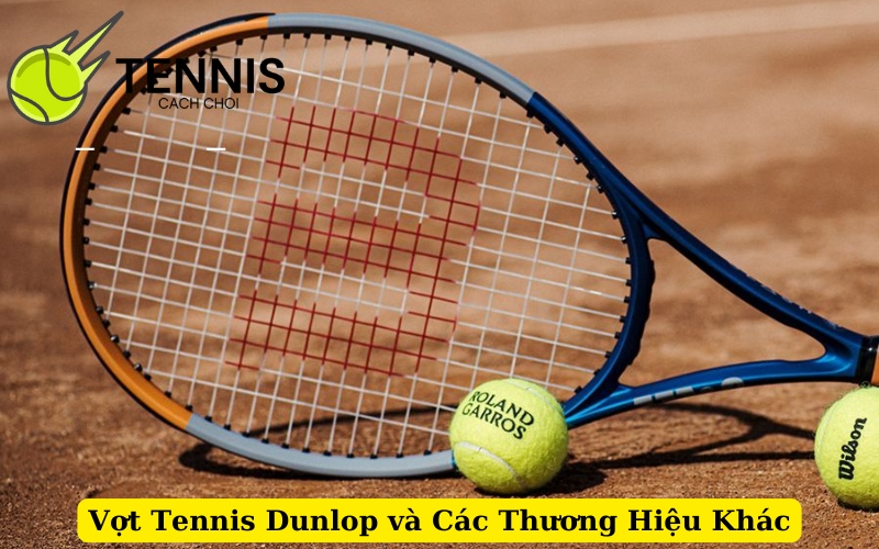 Vợt Tennis Dunlop và Các Thương Hiệu Khác