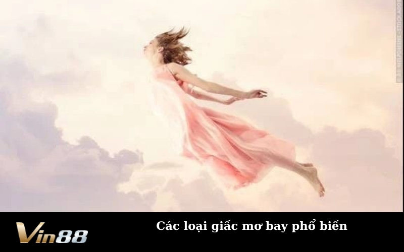 Các loại giấc mơ bay phổ biến